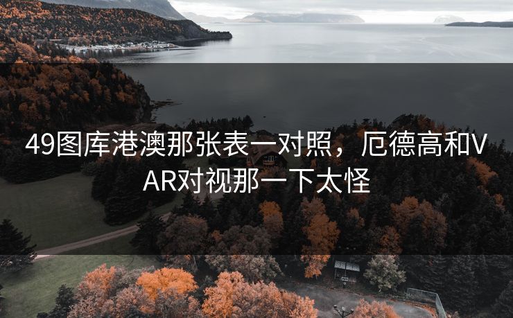 49图库港澳那张表一对照，厄德高和VAR对视那一下太怪