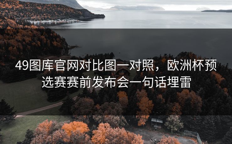 49图库官网对比图一对照，欧洲杯预选赛赛前发布会一句话埋雷